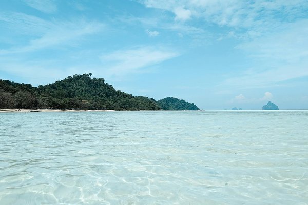 Comment découvrir les traditions de la pêche à la crevette en Louisiane?